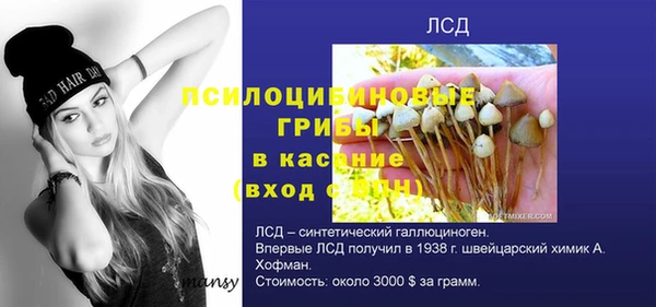 прущие грибы Няндома