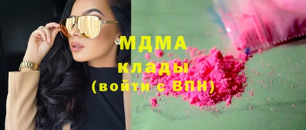 прущие грибы Няндома
