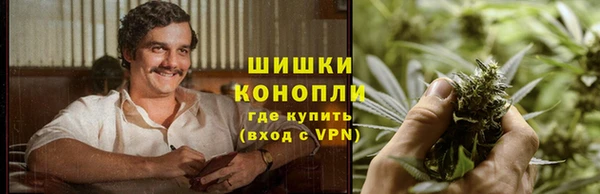 прущие грибы Няндома