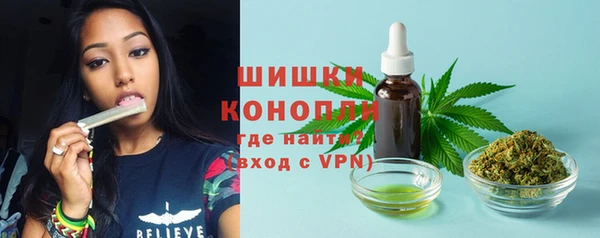 прущие грибы Няндома