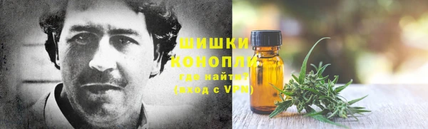 прущие грибы Няндома