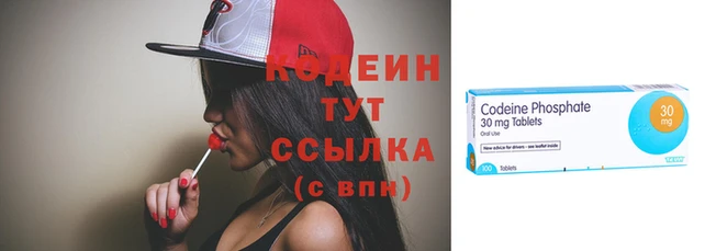 прущие грибы Няндома