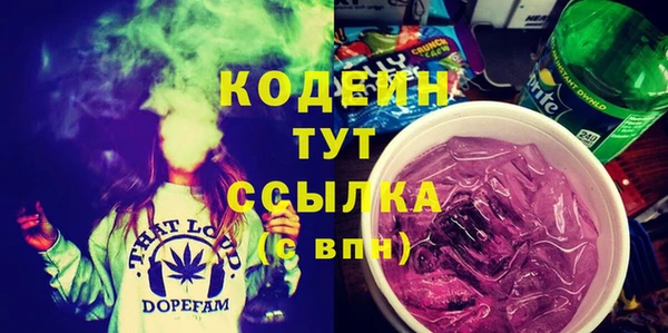 прущие грибы Няндома