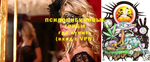прущие грибы Няндома