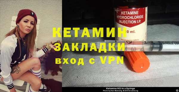 прущие грибы Няндома