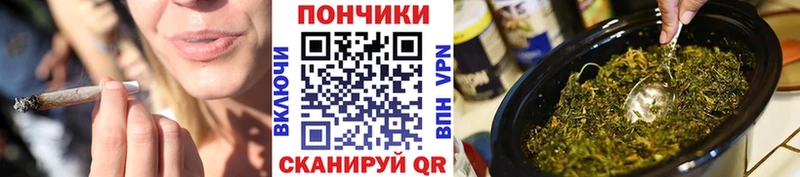 Бошки Шишки план  Купить где  Городовиковск 